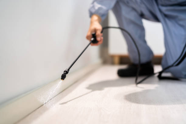 Licensed Cockroach Control service in Darmstadt, IN - Nex Pest Control