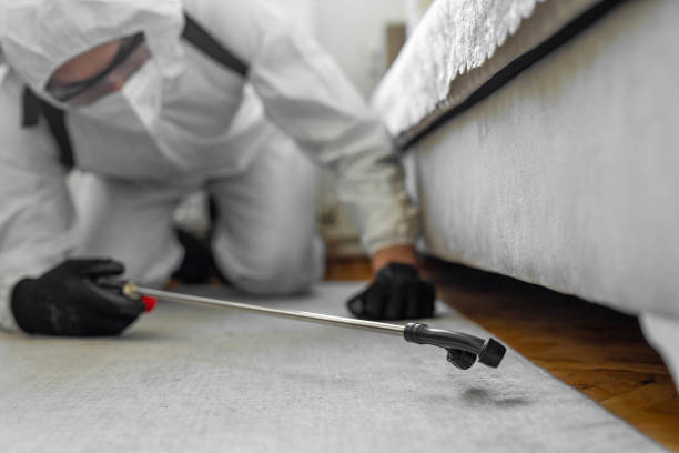 Professional Cockroach Control technician working in Darmstadt, IN