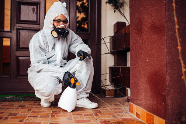 Reliable Cockroach Control contractor in Darmstadt, IN by Nex Pest Control